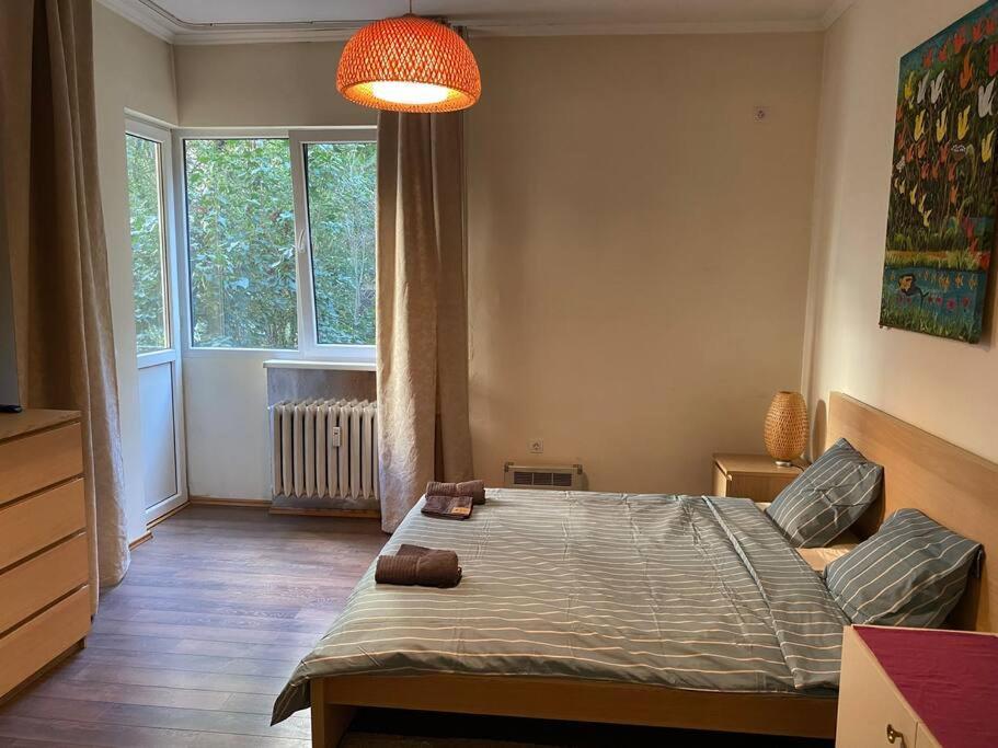 Opera Apartment 2 With Wifi & Tv 索菲亞 外观 照片